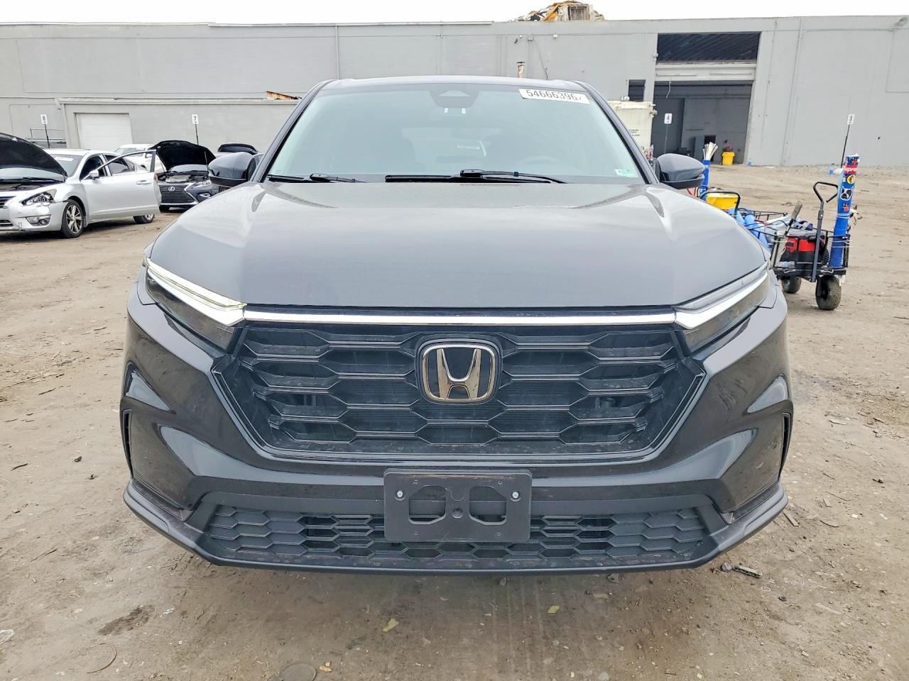 Honda Cr-v Ex 2025