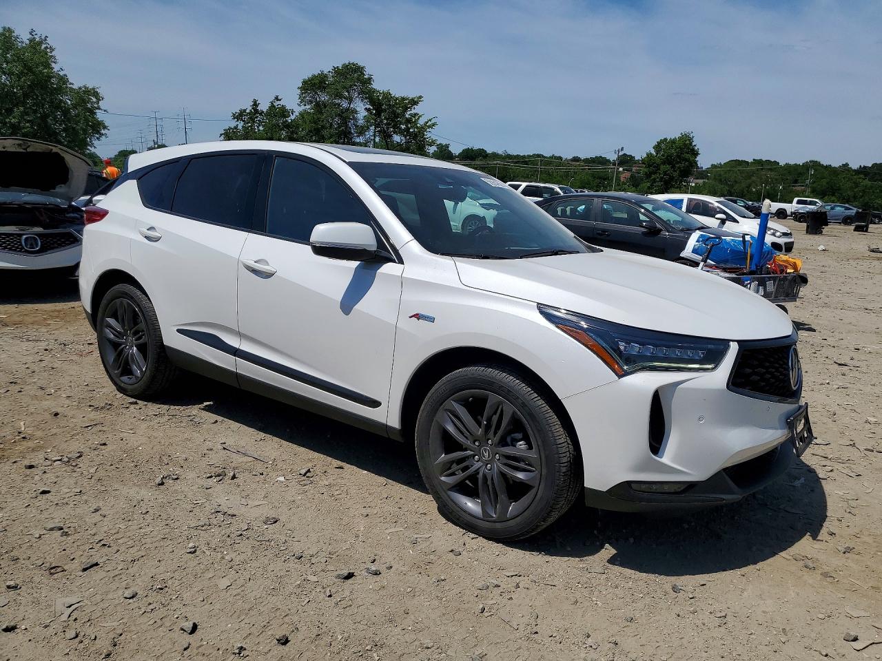 ACURA Rdx A-spec 2023