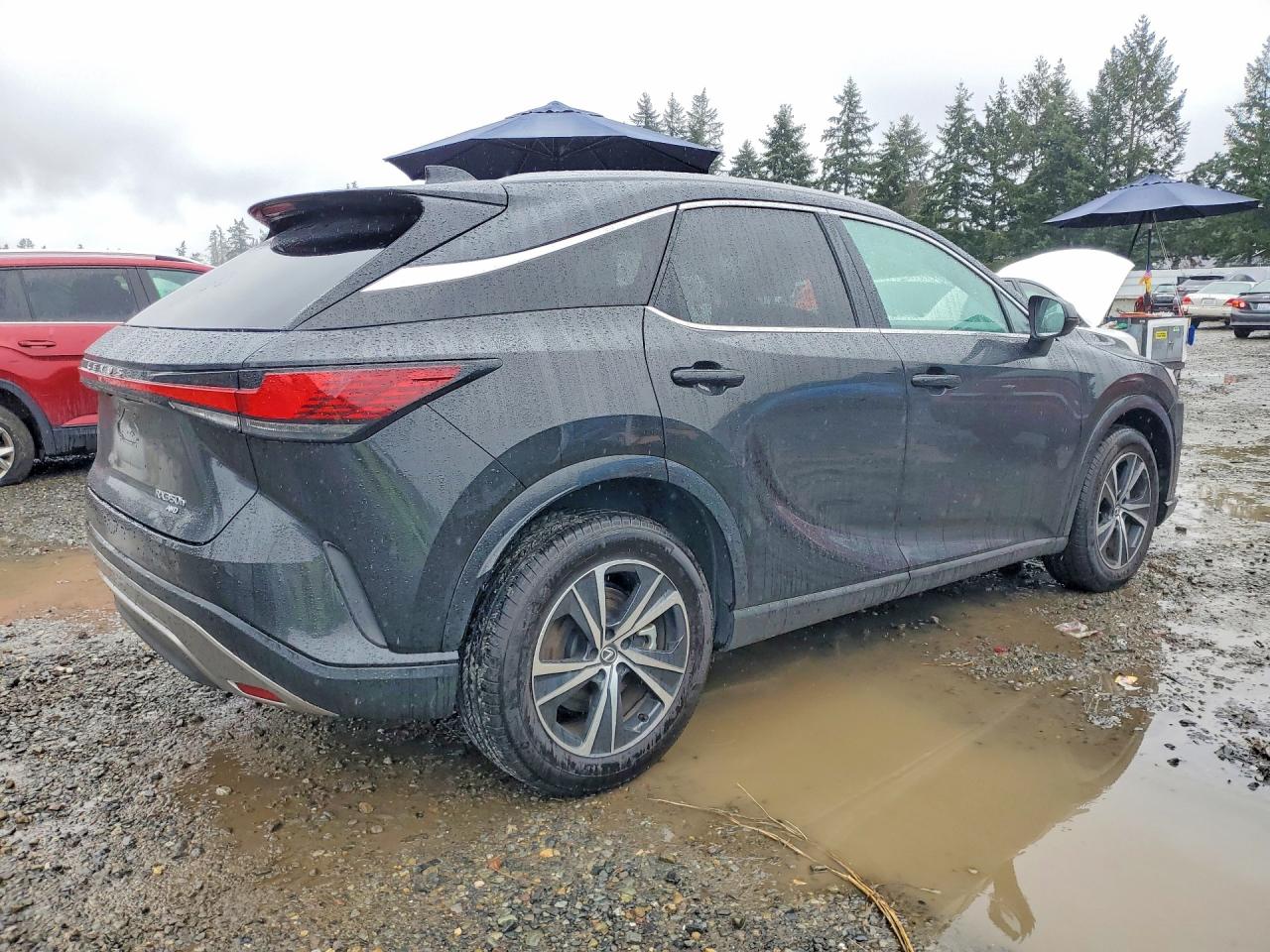 LEXUS Rx 350h Premium+ 2024