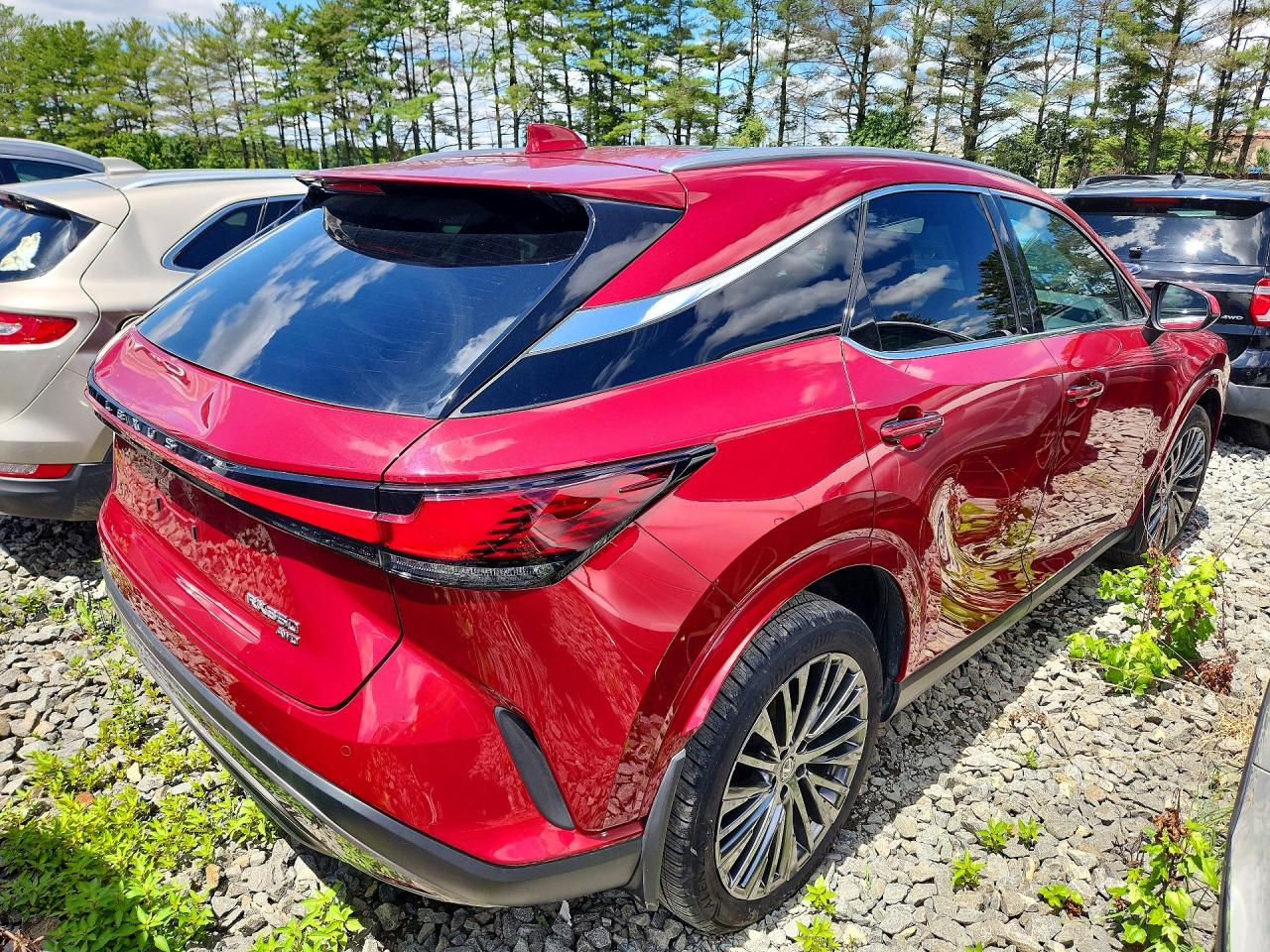 LEXUS Rx 350 Luxury 2024