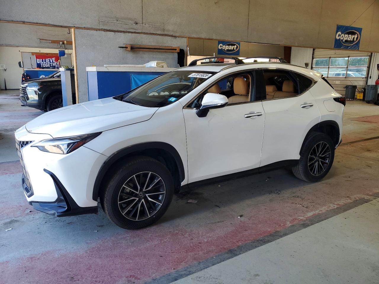 LEXUS Nx 350 Premium 2024