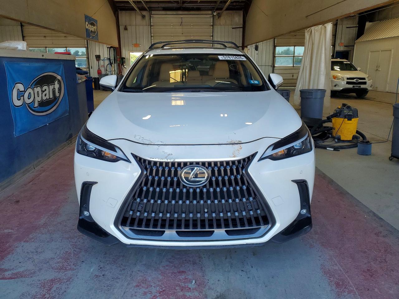 LEXUS Nx 350 Premium 2024