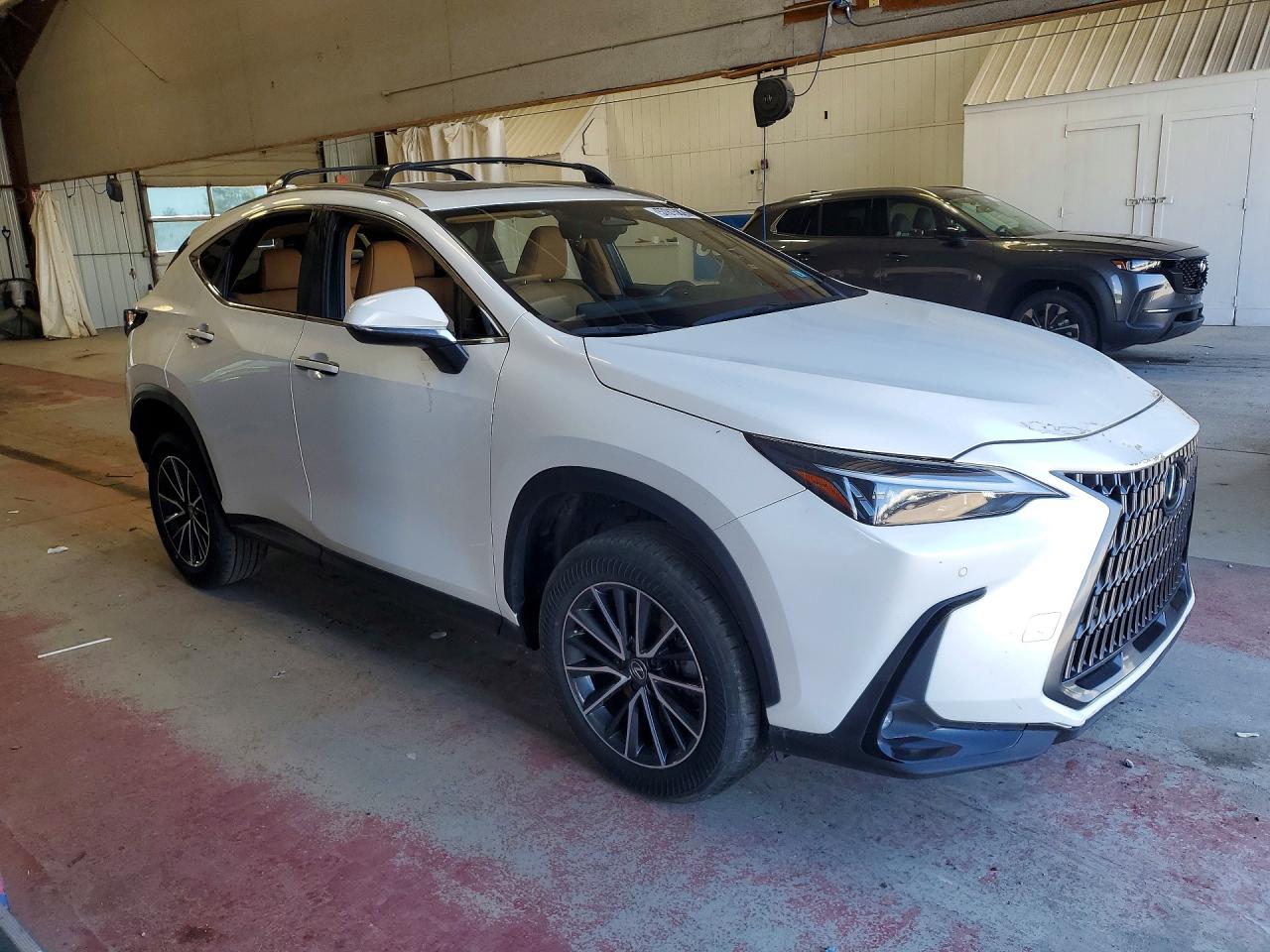 LEXUS Nx 350 Premium 2024