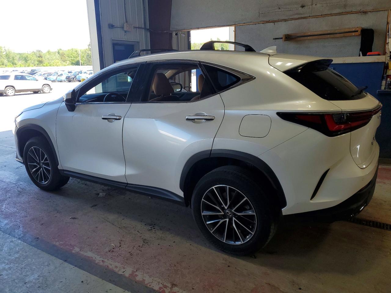 LEXUS Nx 350 Premium 2024