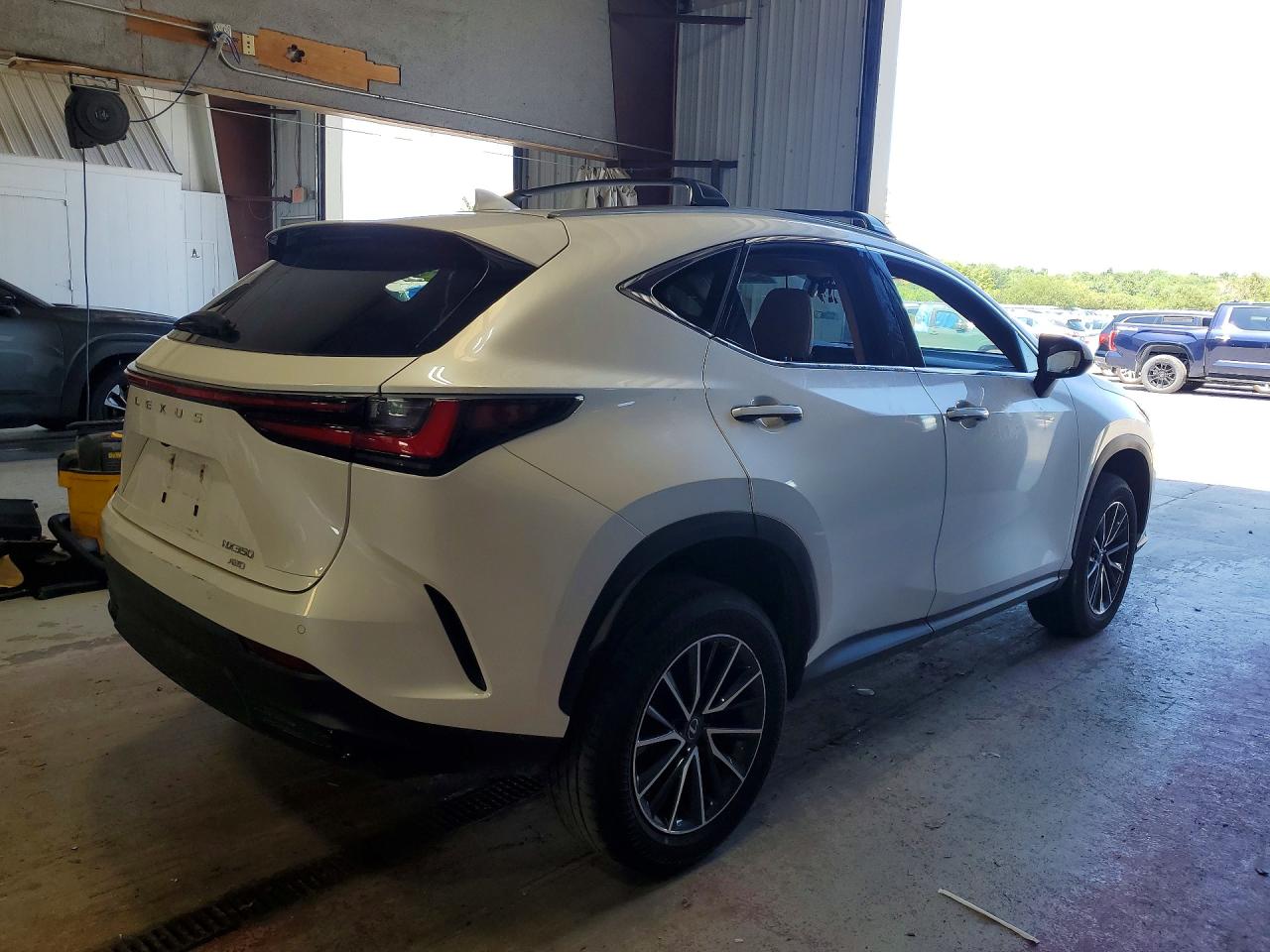 LEXUS Nx 350 Premium 2024