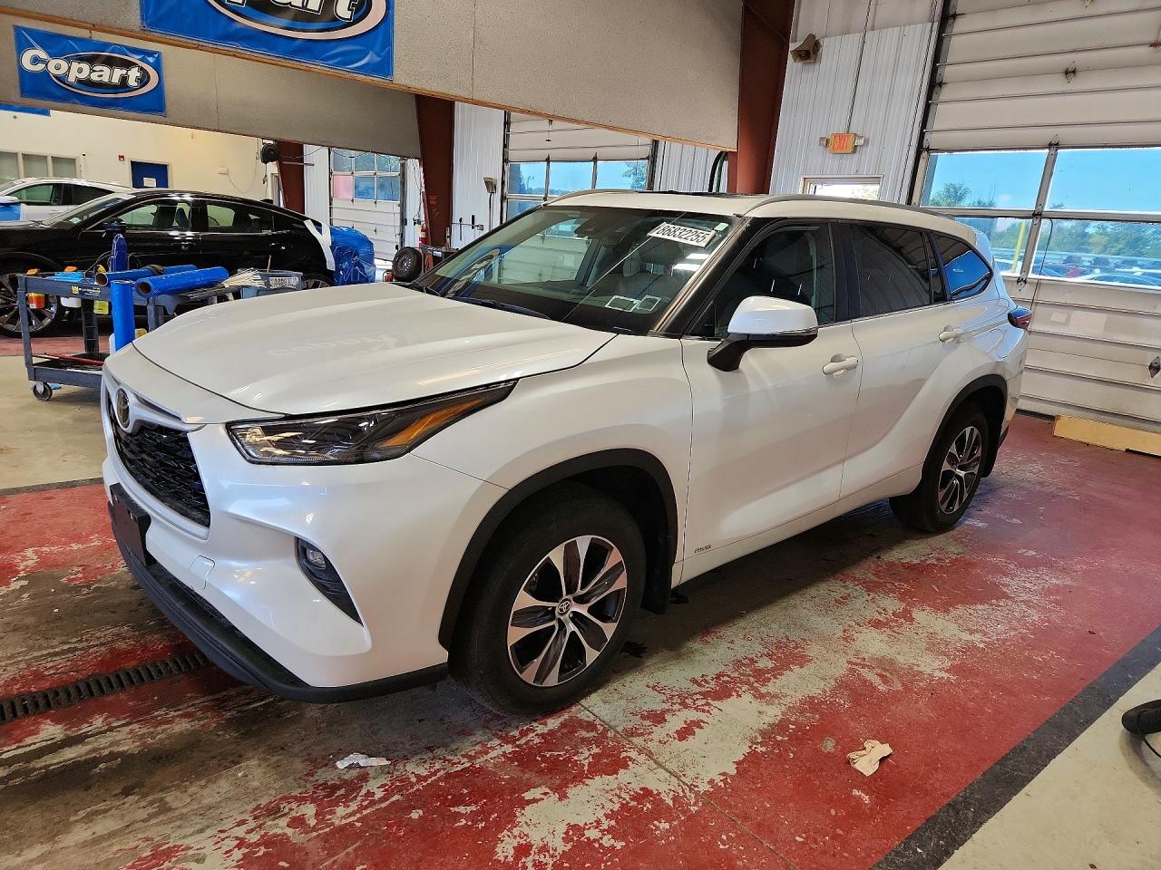 TOYOTA Highlander Hybrid Xle 2025